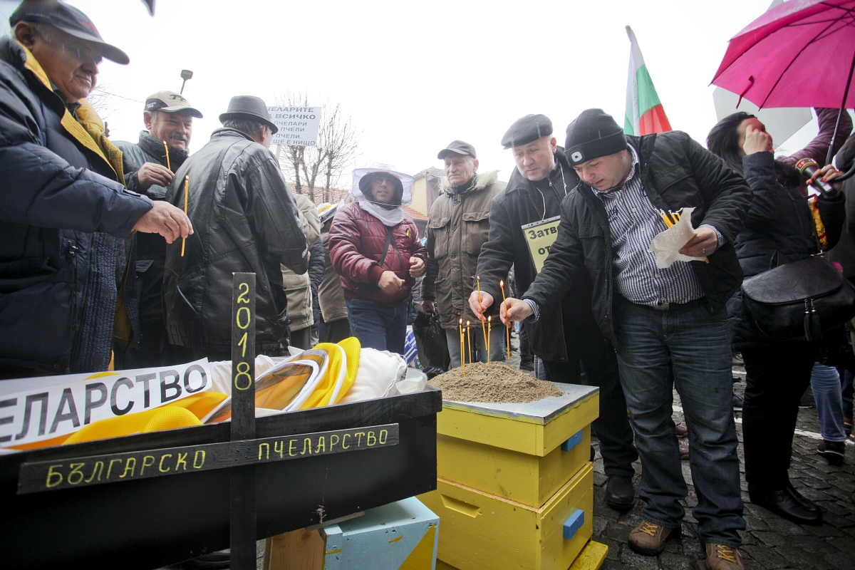 Пчелари се събраха на протест пред земеделското министерство (СНИМКИ)