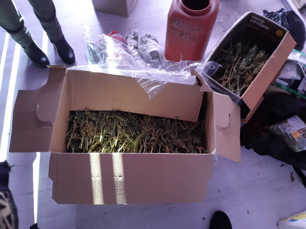 Спипаха голямо количество марихуана в къщата на криминално проявен в село Костенец