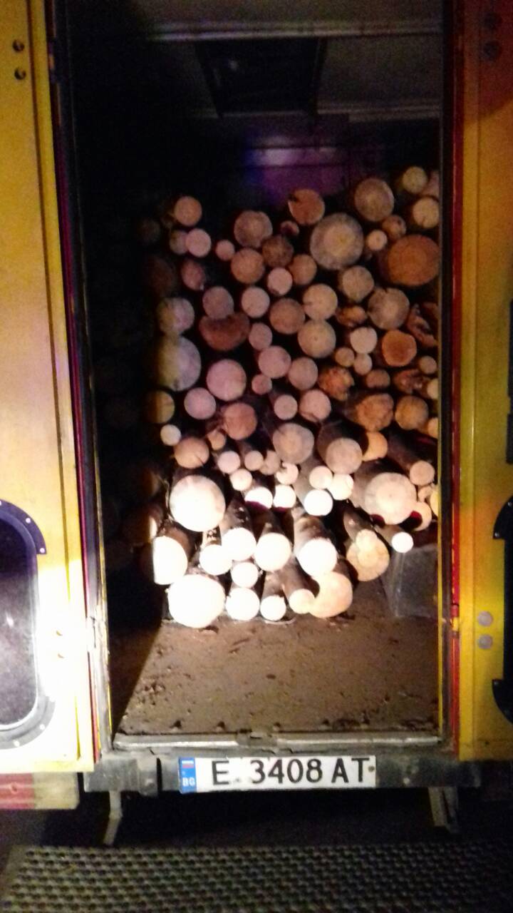Горски хванаха колега с незаконни дърва