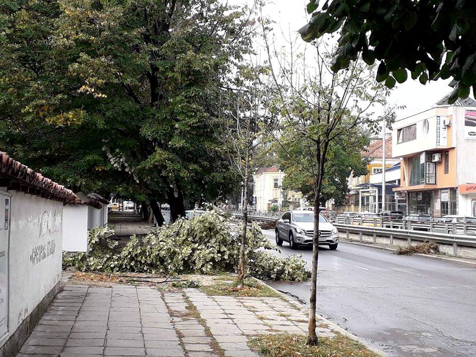 В Шуменско вятър до 20 метра в секунда, има паднали дървета