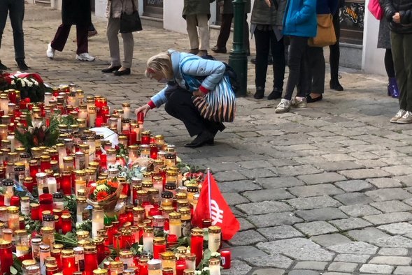 Австрия закрива "радикални джамии"