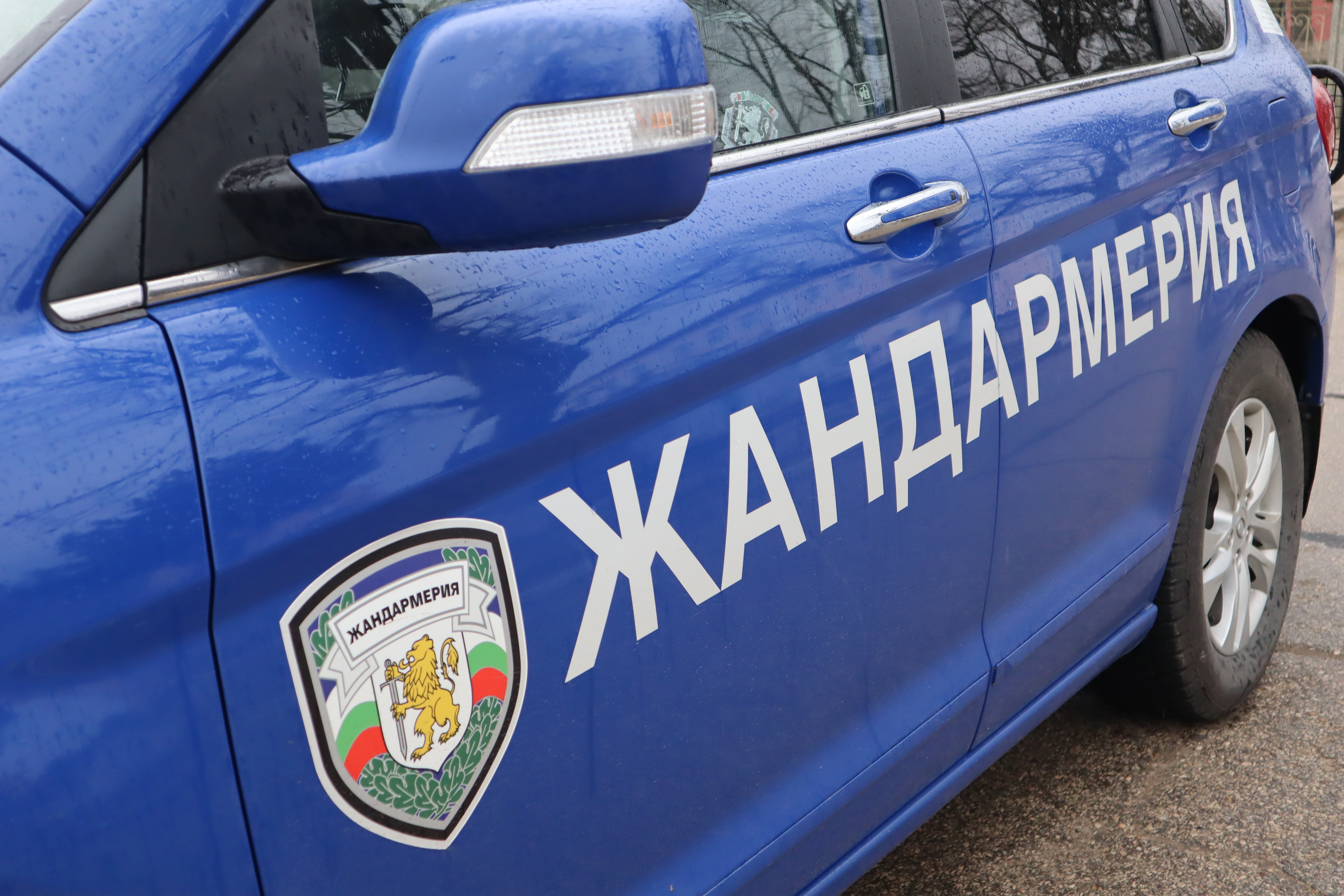 Петима арестувани при акция на полицията в погранични селища във Видинско
