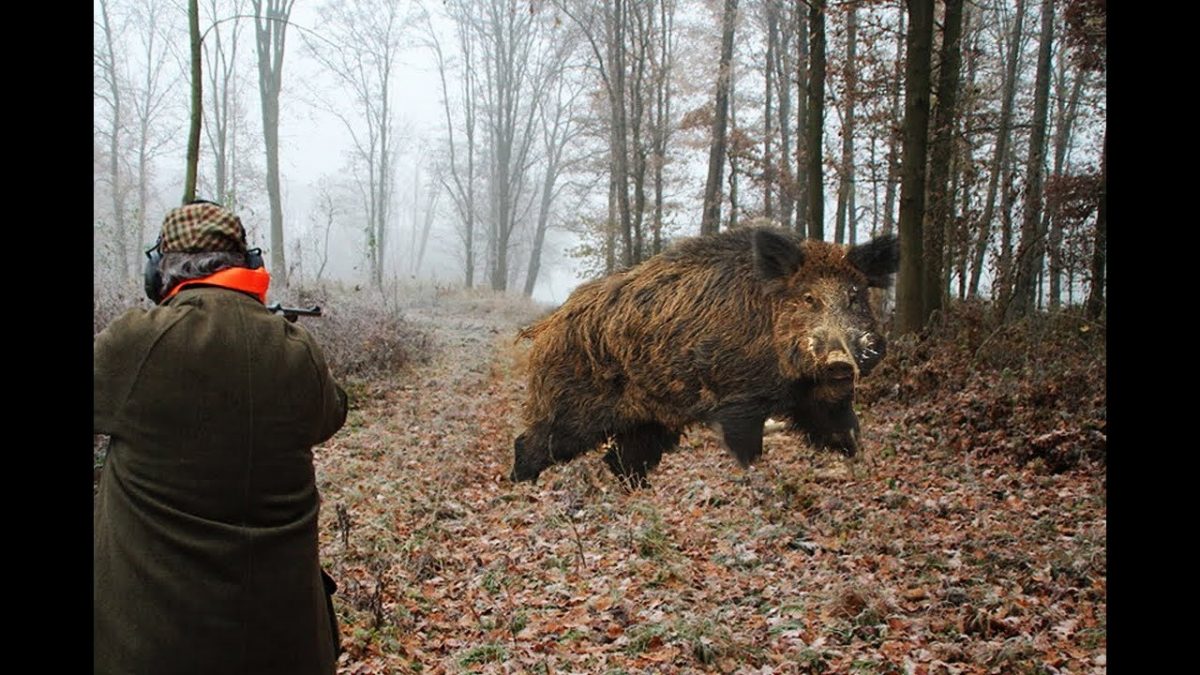 Арестуваха столичанин за незаконен лов в Белоградчишко