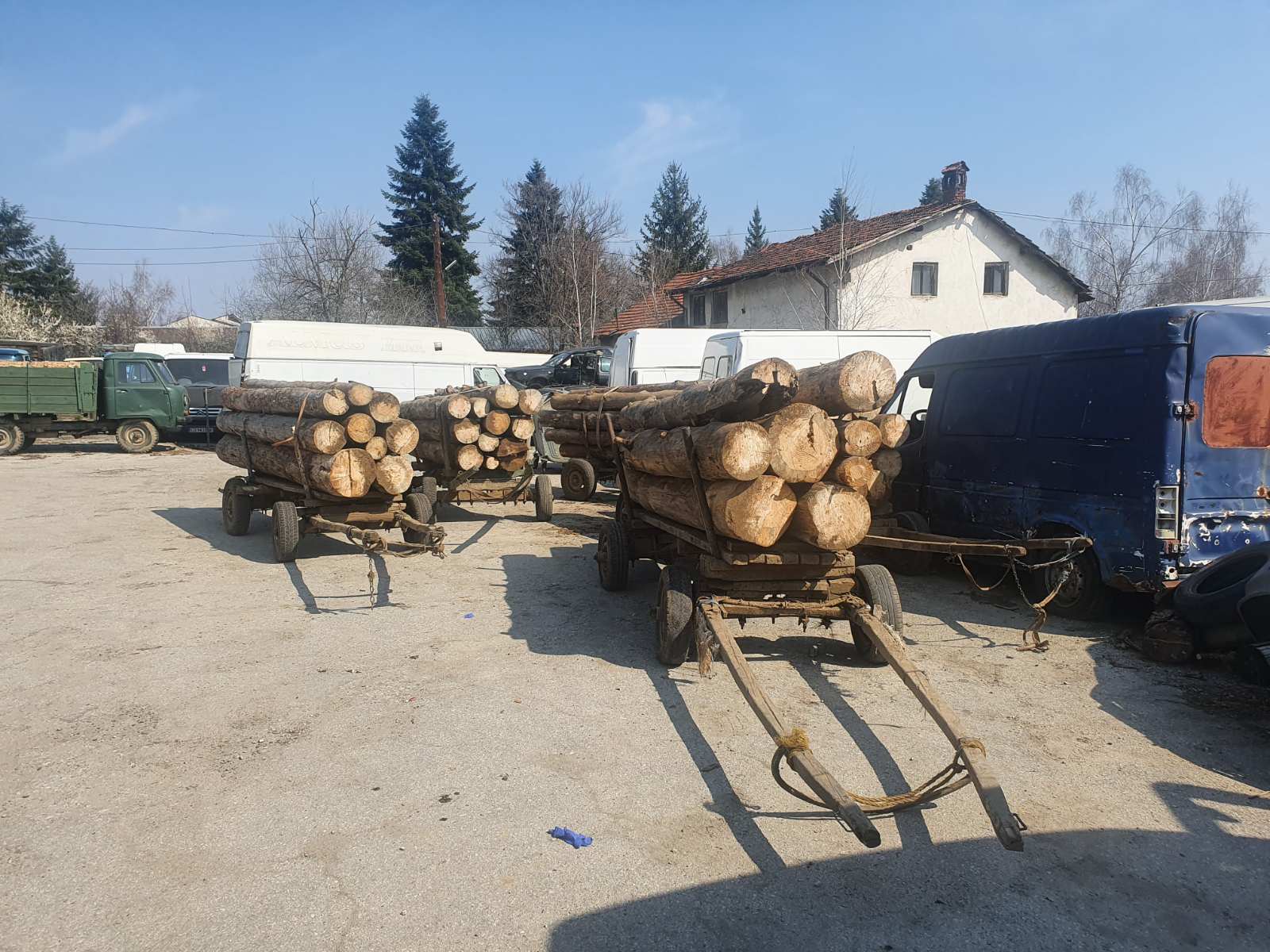 Увеличаване на незаконната сеч в гората, отчитат от ЮЗДП