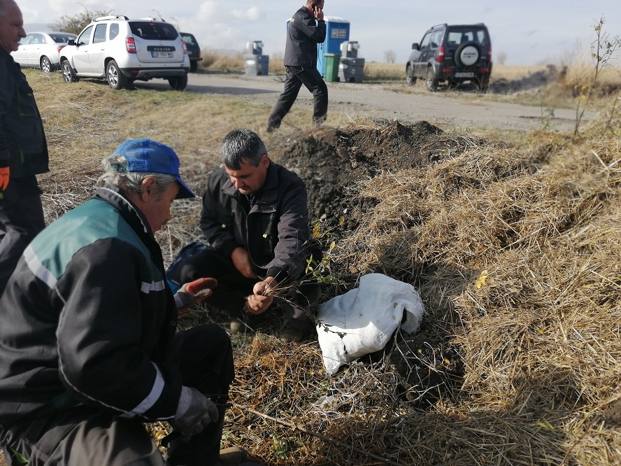 „Новата гора на София“ порасна с още 25 декара