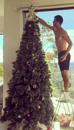 Гришо украси елхата в дома си