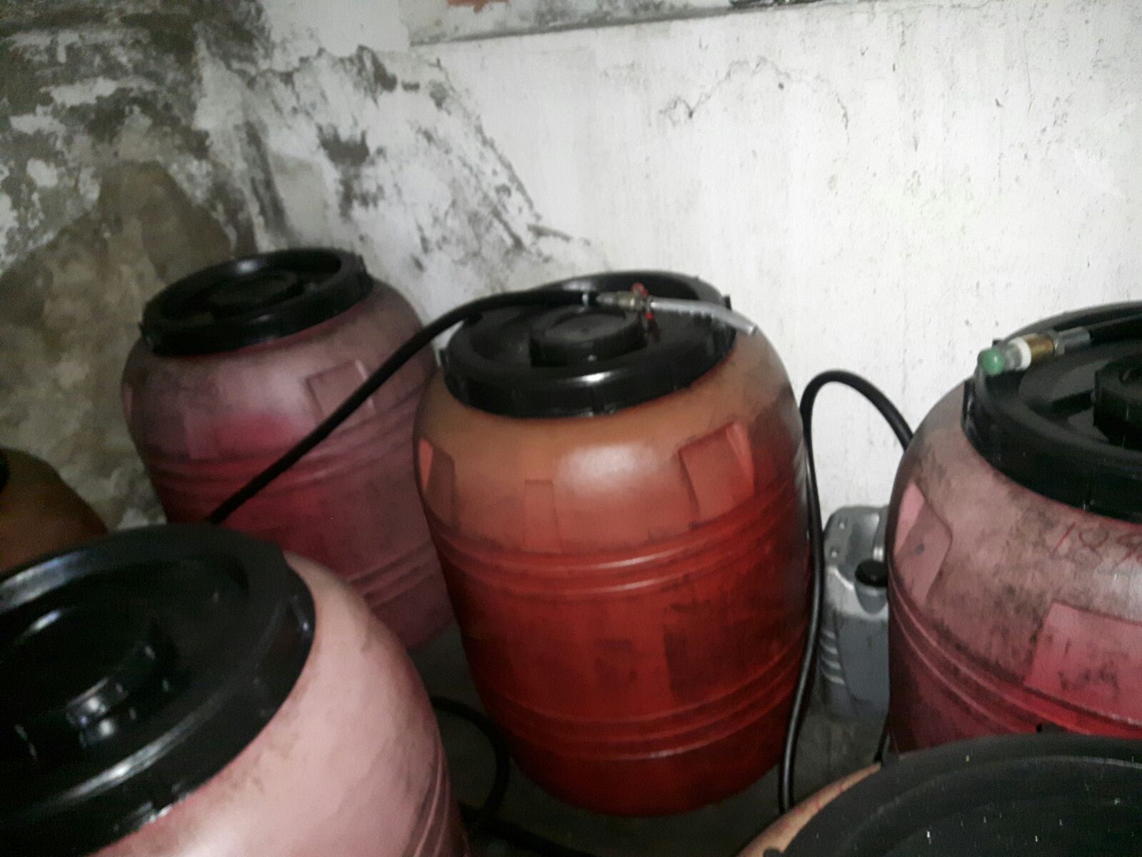 Заловиха крадец на 200 л дизел от камион в Поликраище