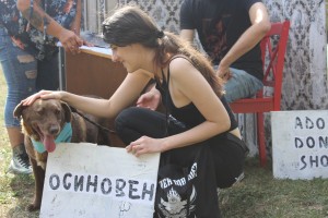 Столична община: Всички кучета, участници в PARK(ing) DAY, намериха нов дом