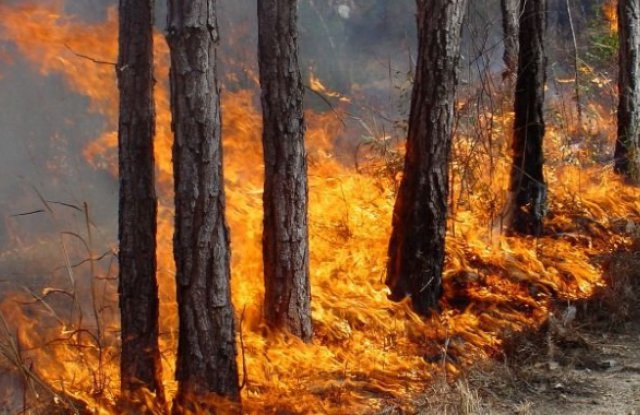 Разраства се пожарът над Карлово