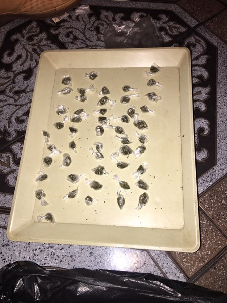 Закопчаха шестима за наркоразпространение в пловдивския квартал "Столипиново" (СНИМКИ)