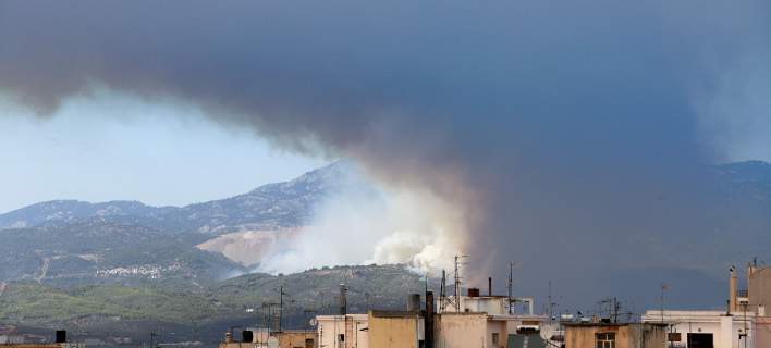 Голям пожар избухна на остров Евия (Евбея), обявиха извънредно положение (СНИМКИ и ВИДЕО)