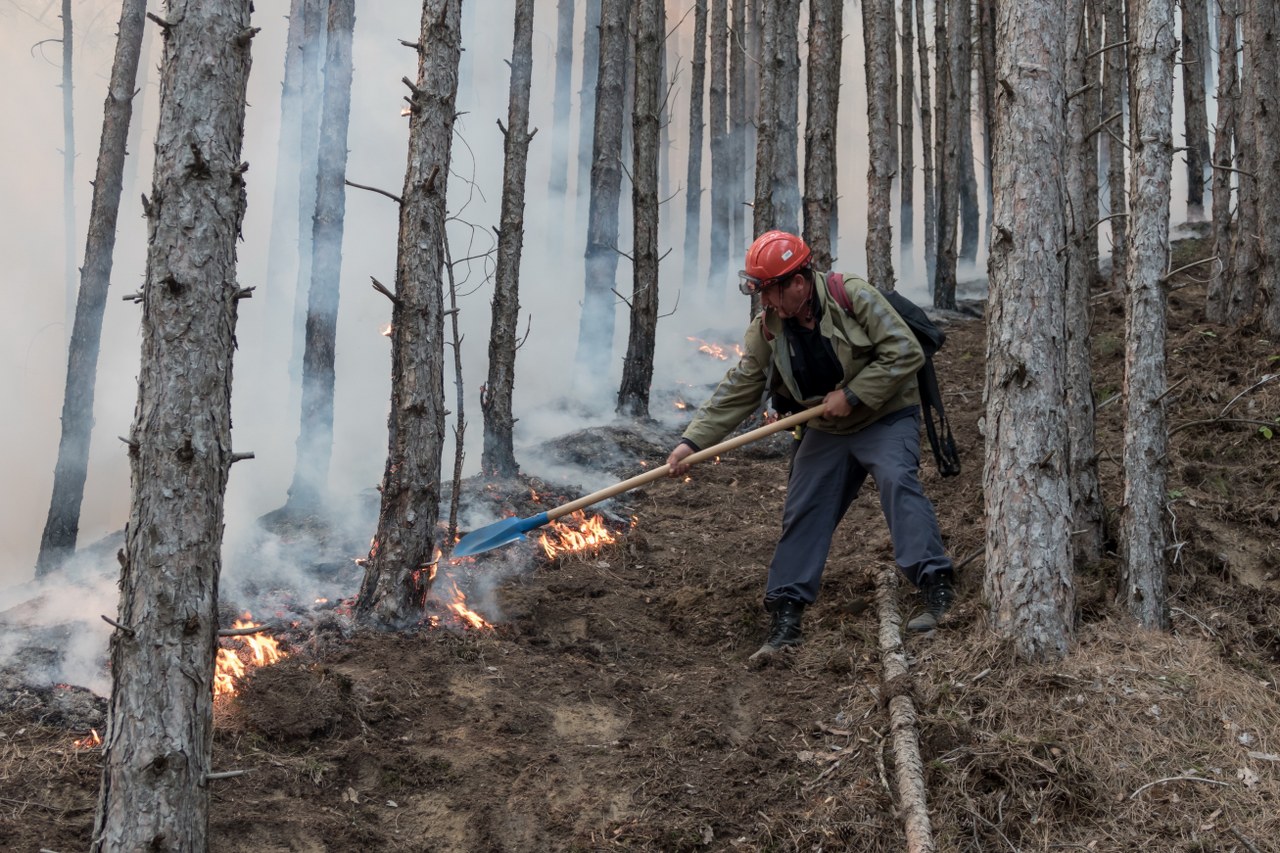 2300 горски дебнат денонощно за пожари