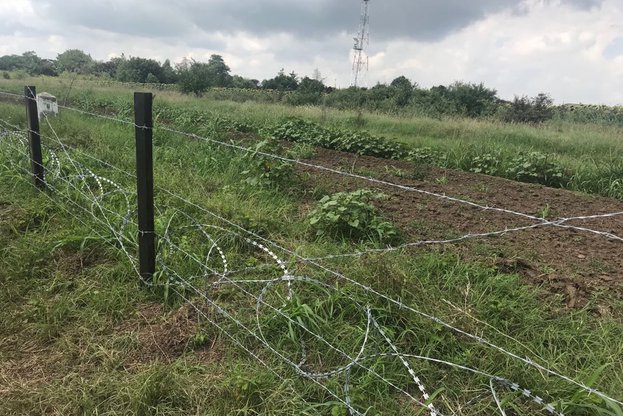 81 км от телената ограда срещу диви свине по границата с Румъния вече са готови