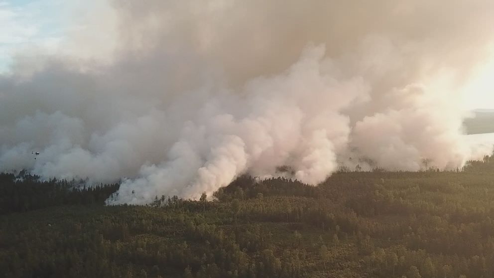 Гореща вълна подпали горите в Швеция