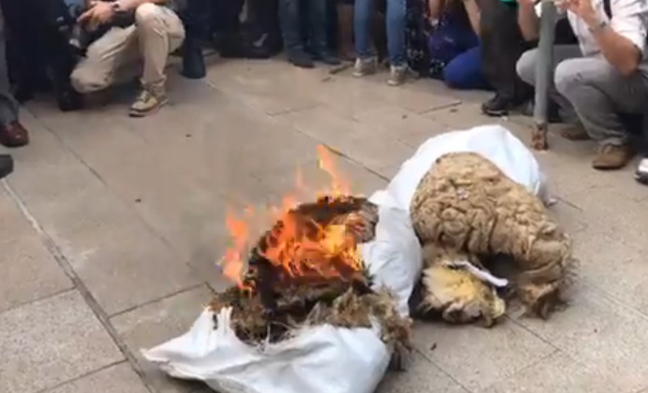 Сблъсъци между фермери и полиция пред Министерския съвет (ВИДЕО)