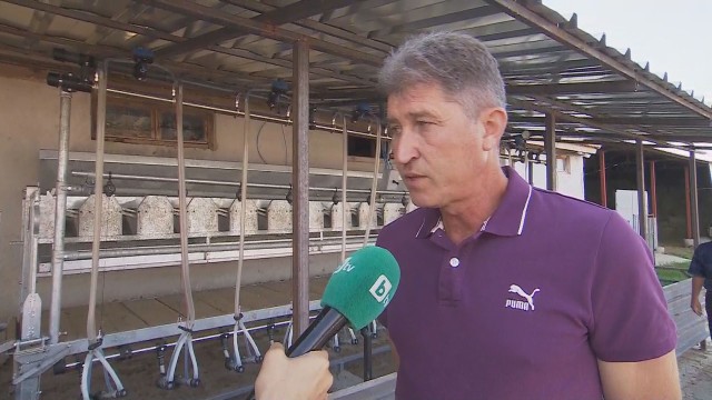 Първият животновъд с евтанизирани животни: Не се съмнявам в действията на БАБХ