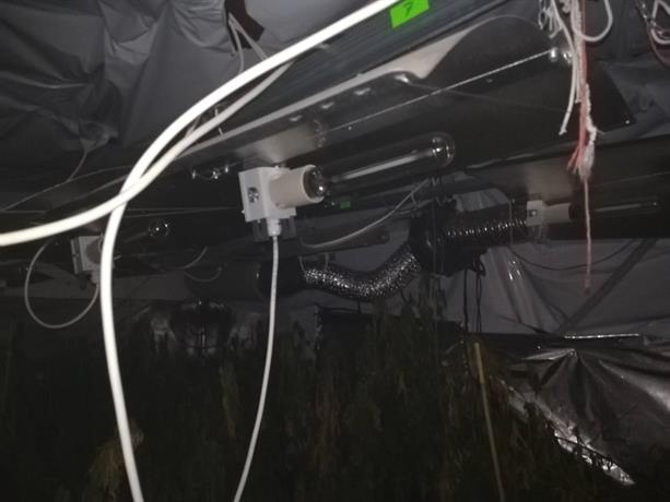 Разбиха наркооранжерия в околностите на София, има задържани (СНИМКИ)