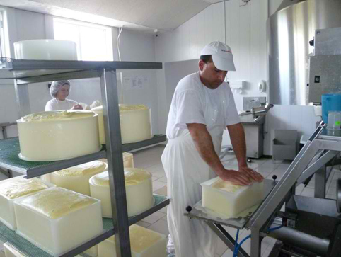 Забраниха на мандрите да правят сирене с палма (обзор)