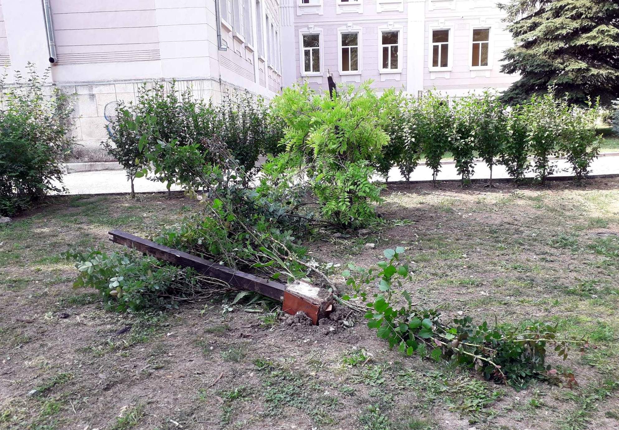 Училище осъмна с кръст и оскубани цветя
