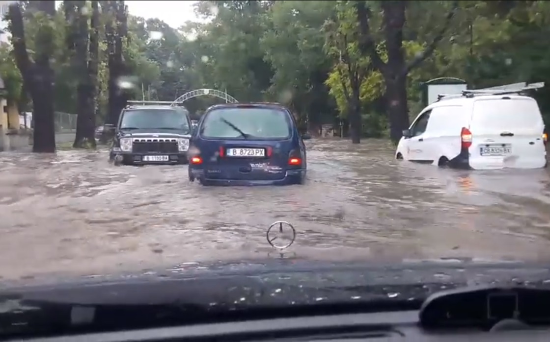 Порой удави Варна
