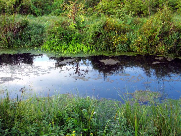 Търсят удавен младеж във водоем край Негован