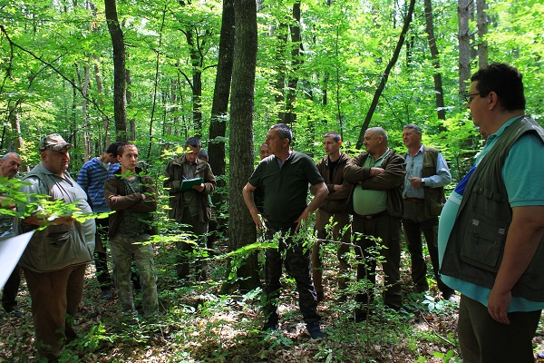 Лесовъди от Смядово и Върбица обсъждаха стопанисването на горите