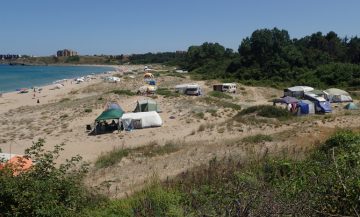 "Ибердрола": Никой наш служител не е изсичал дървета на плаж Корал