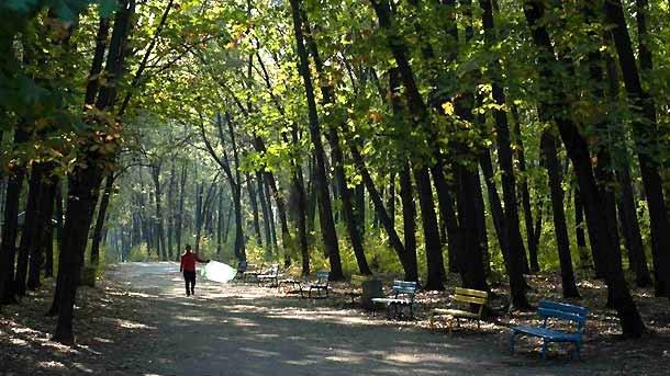 Нападнаха две момчета в Западния парк в София