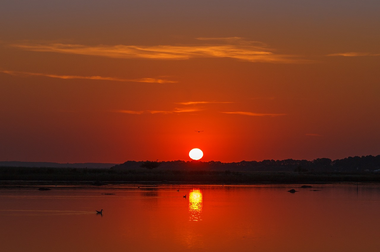 Времето ще е слънчево и топло