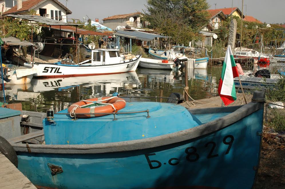 Карида напълни кошовете на рибарите в Бургас