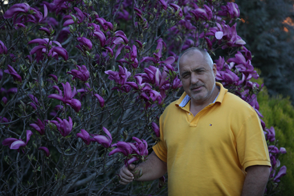 Президентът иска магнолии пред „Дондуков“ 2