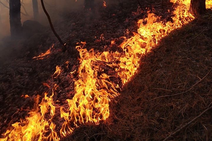 Трети ден продължава гасенето на пожара в гората край село Граматиково
