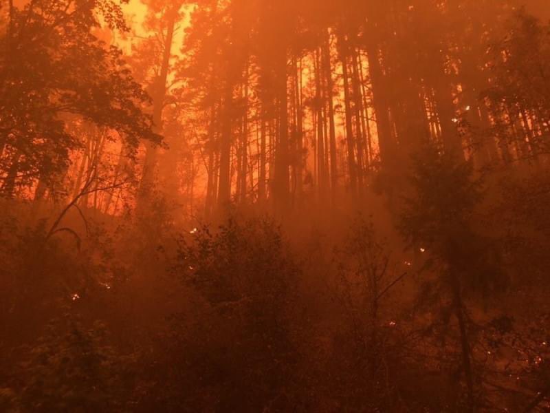 Десетки пожари продължават да бушуват в западната част на САЩ