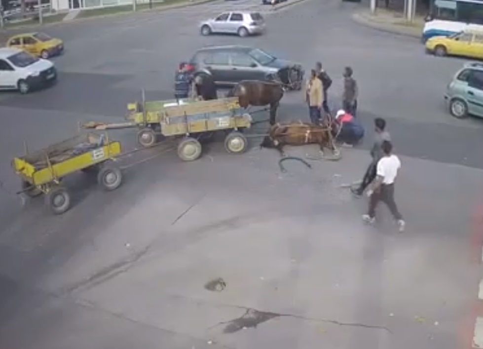 Вижте как мургави блъснаха две каруци в кола на кръстовище (ВИДЕО)