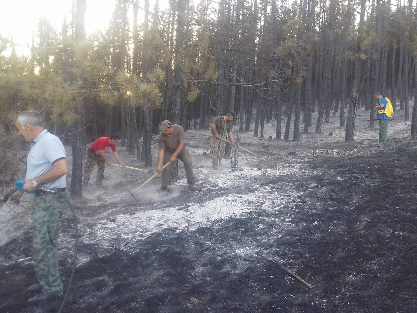 Залесяват 80 дка опожарена гора