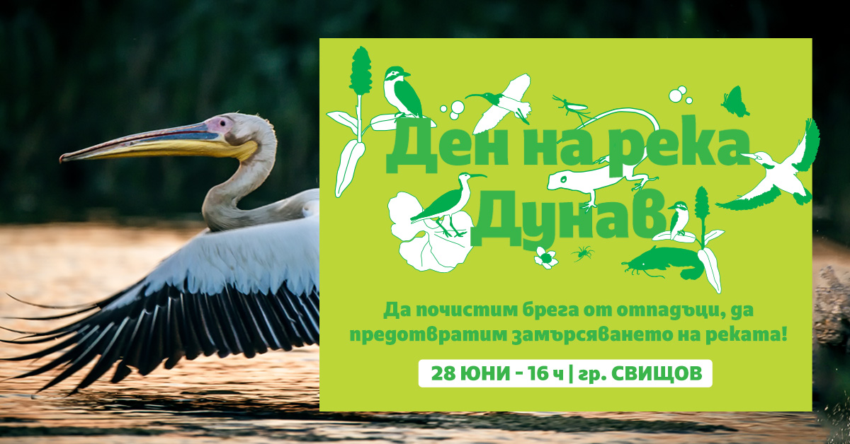 С еко инициатива честват Международния ден на река Дунав в Свищов