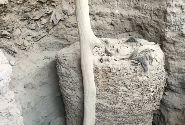 Археолози откриха добре запазена мумия на 1000 години