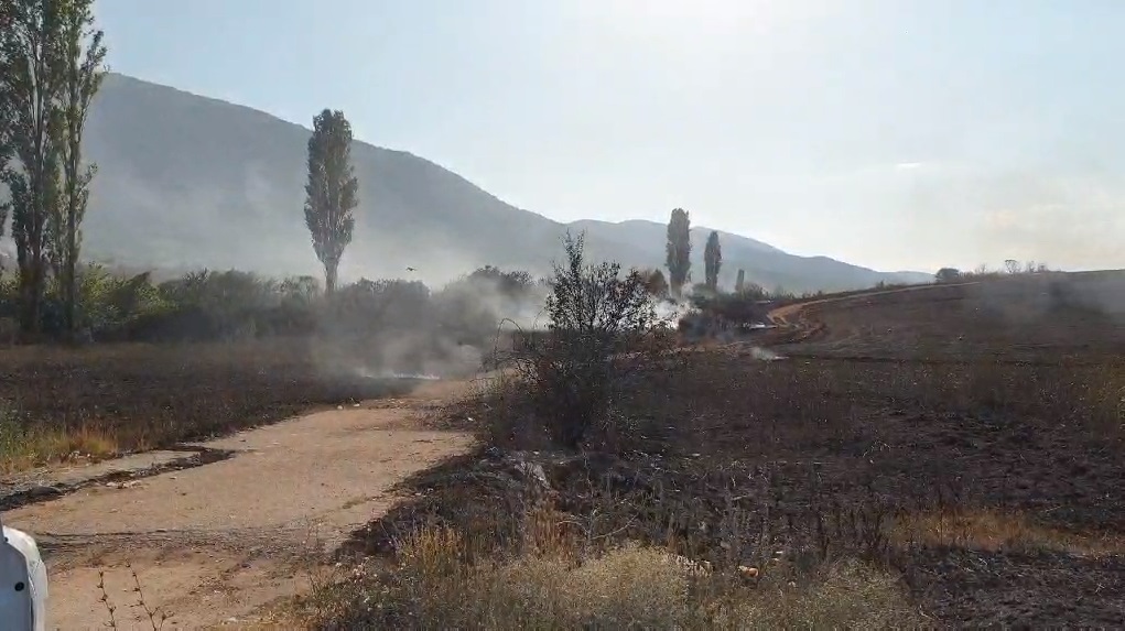 Голям пожар край Асеновград