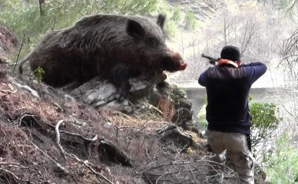 Мъж прострелян в корема по време на лов във Видинско