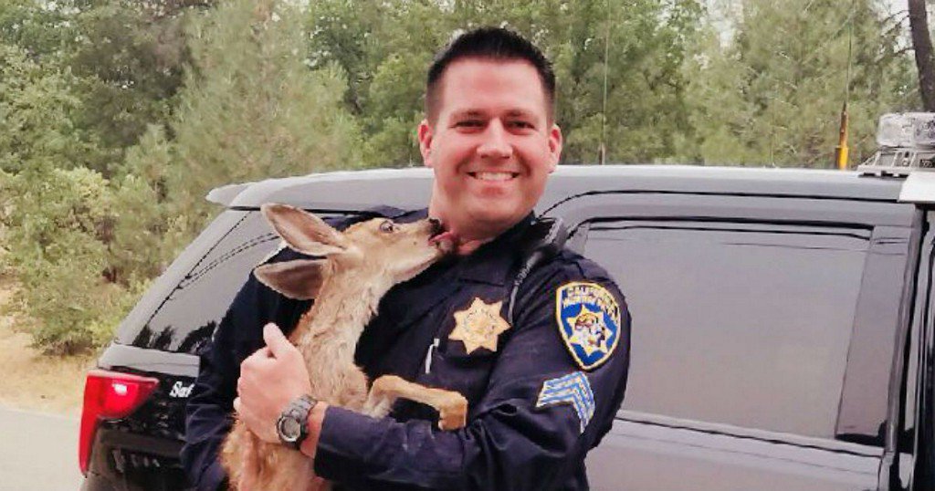 Сърна целуна полицай в знак на благодарност, че я спасил от пожар