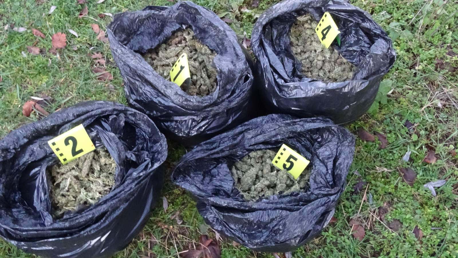 Още четирима в ареста за дрогата от Болярино