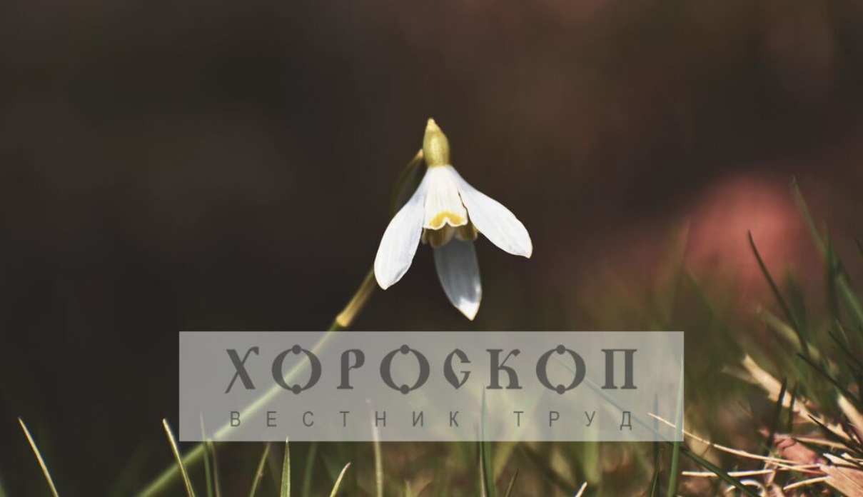 Хороскопът на Алена: Успехът спохожда Стрелците, денят е благоприятен за Козирозите