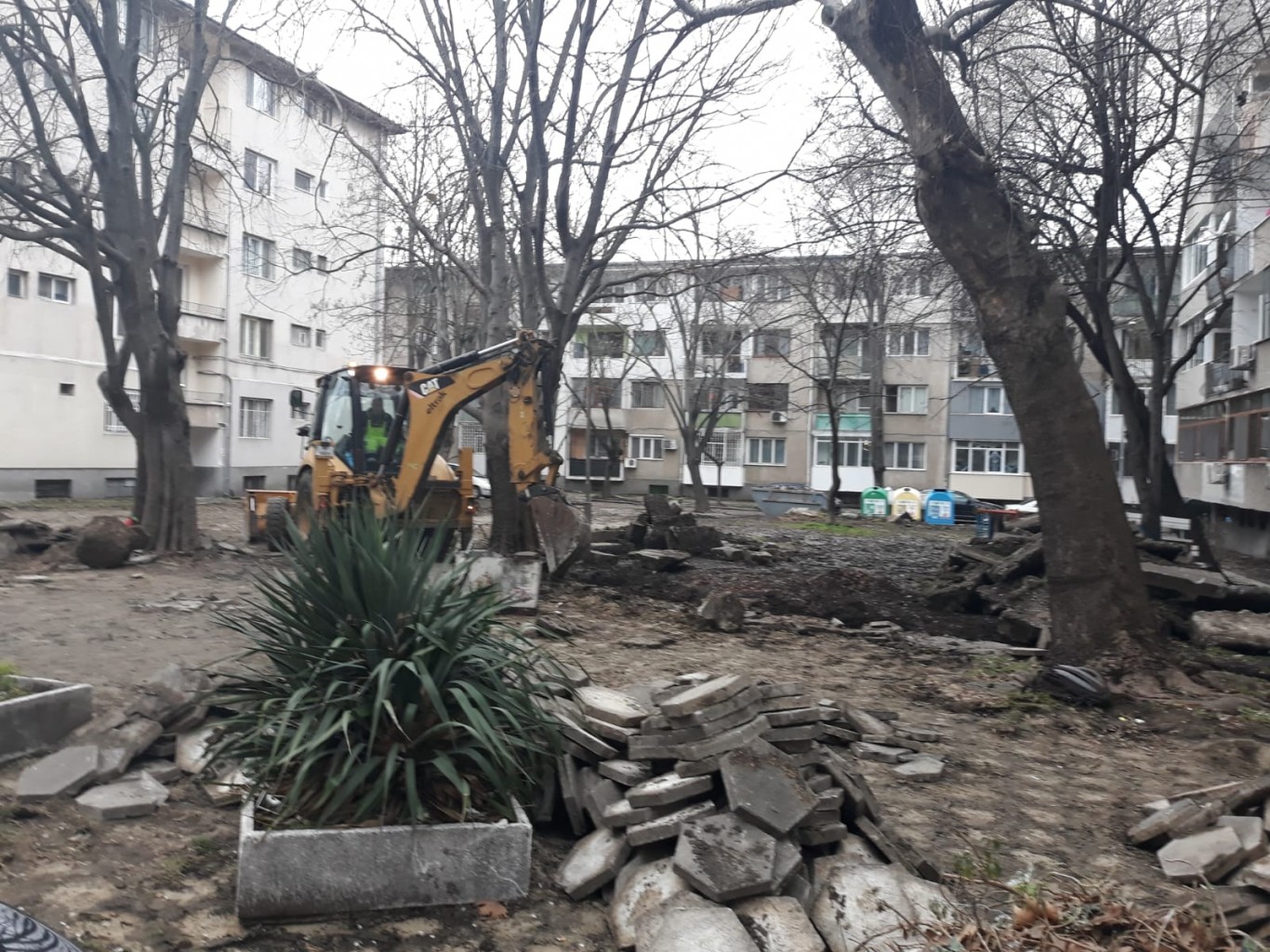 Бургазлии луднаха по фитнес на открито