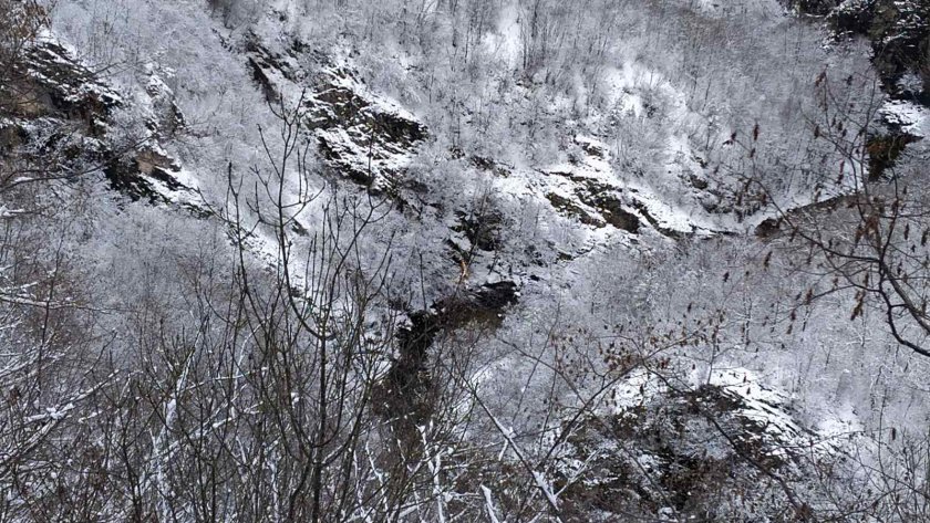 Багер с работник падна от 300 метра в дере, мъжът оцеля по чудо