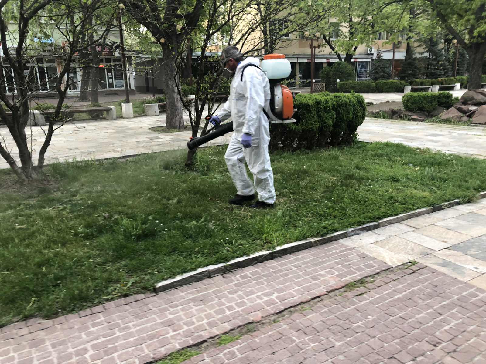 В София започва пръскане срещу ларви на комари и гризачи