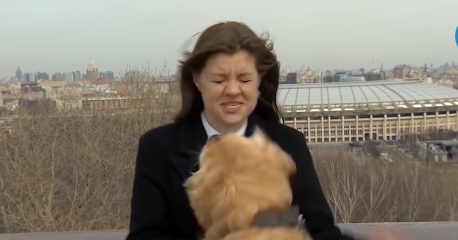 Куче отмъкна микрофона на репортерка в Москва (ВИДЕО)