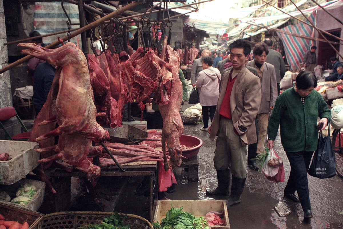 СЗО призова да се спре продажбата на диви животни на пазарите за храни