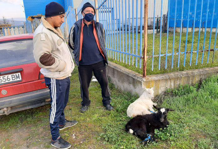 Агнешкото живо тегло с 1 лев повече