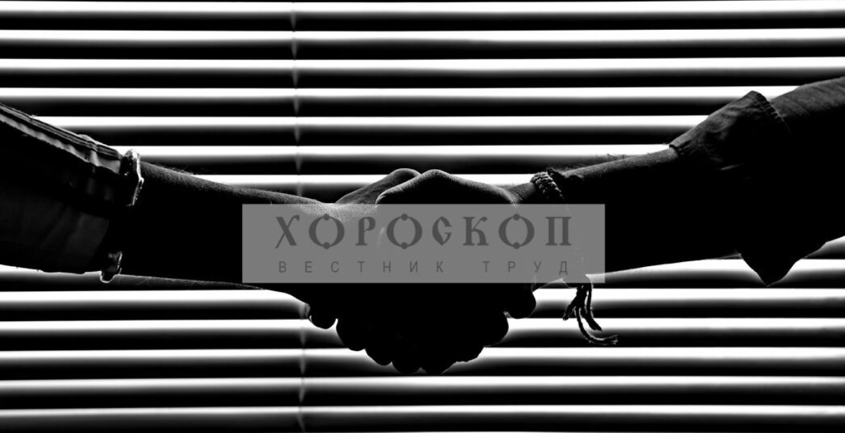 Хороскопът на Алена: Полезни делови контакти за Лъвовете, прибързаността е във вреда на Девите