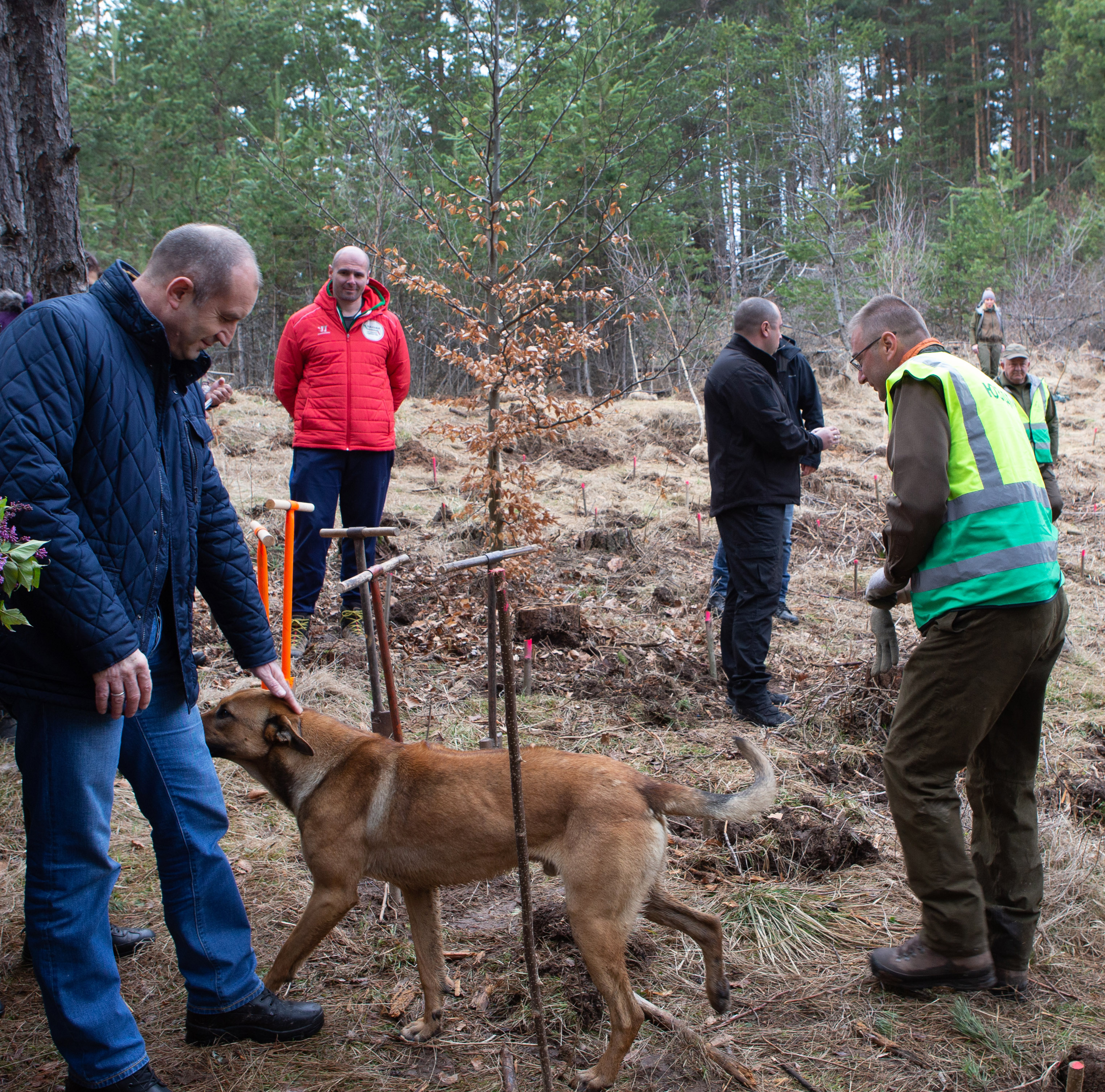 Радев: Несериозно е да мислим за служебно правителство, тече процедура за редовен кабинет
